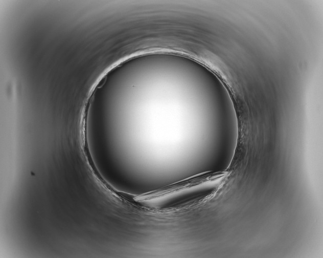 X0000094321524200711021342