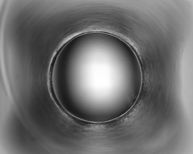 X0000094321525200711021342