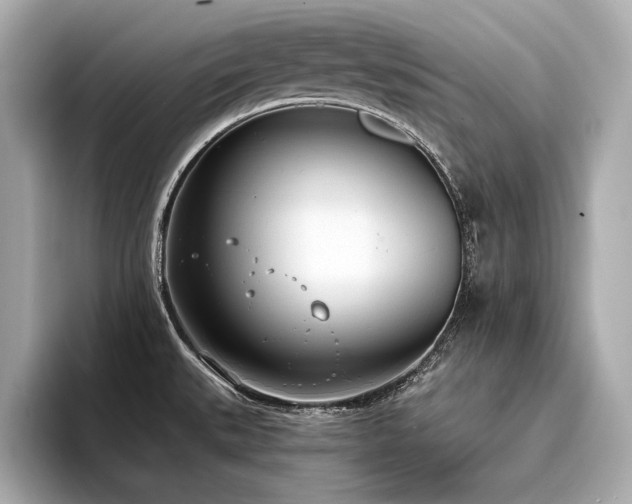 X0000094321527200711021342