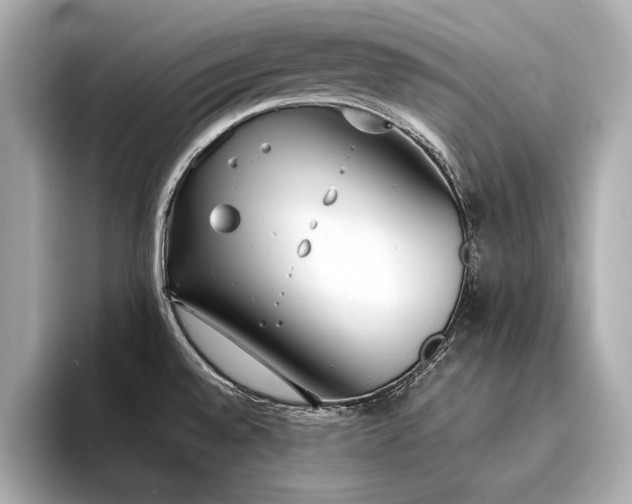X0000094321528200711021342