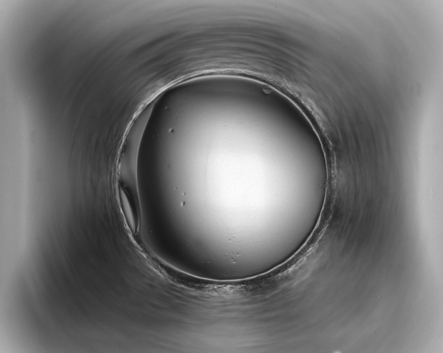 X0000094321529200711021342