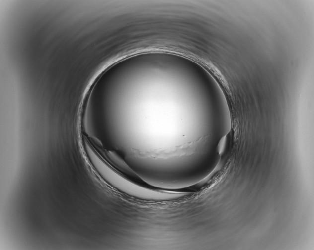 X0000094321530200711021342