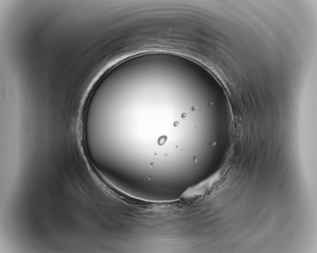 X0000094321531200711021342