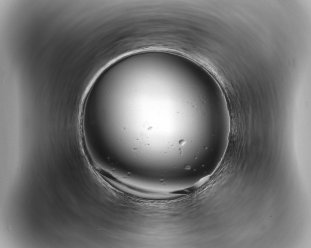 X0000094321532200711021342