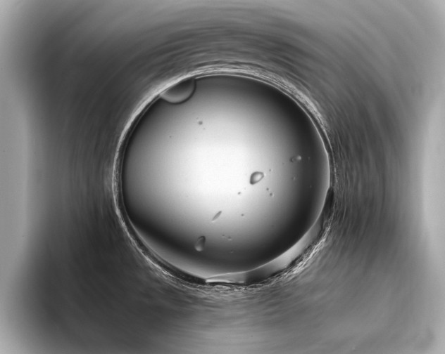 X0000094321533200711021342