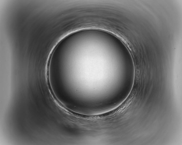 X0000094321535200711021342