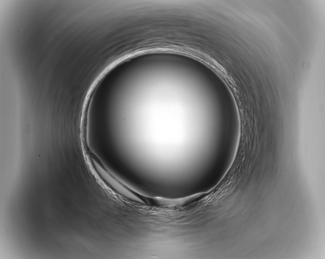 X0000094321536200711021342