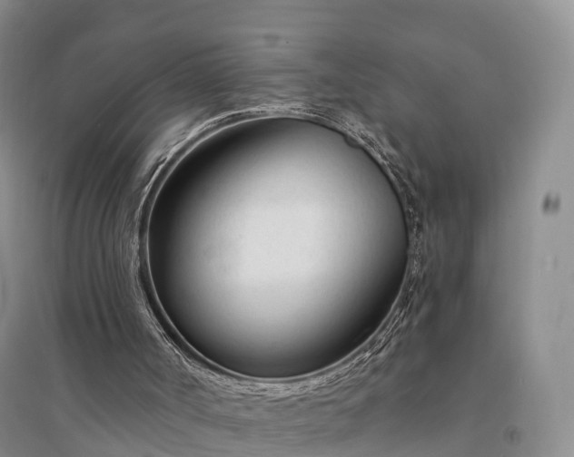 X0000094320002200711091352