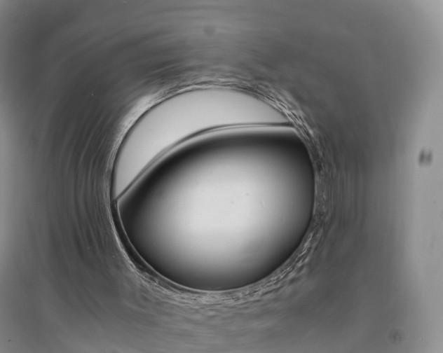 X0000094320003200711091352