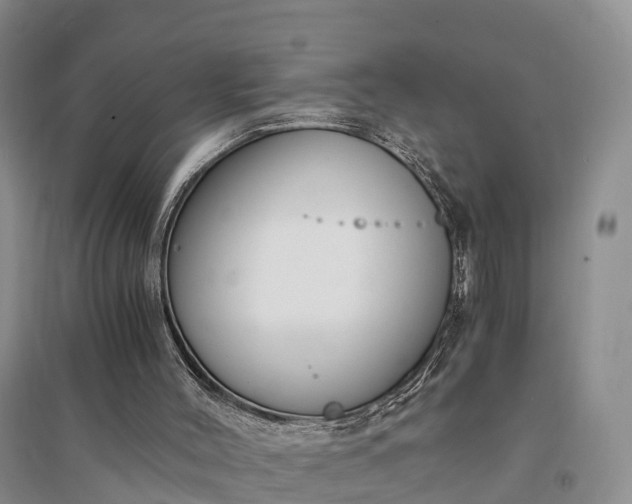 X0000094320004200711091352