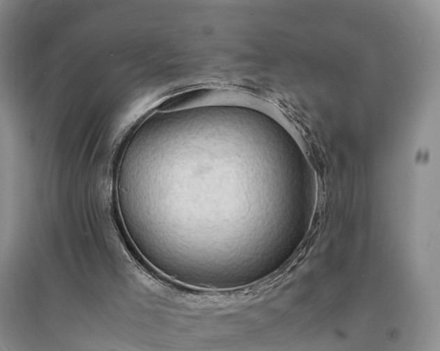 X0000094320005200711091352