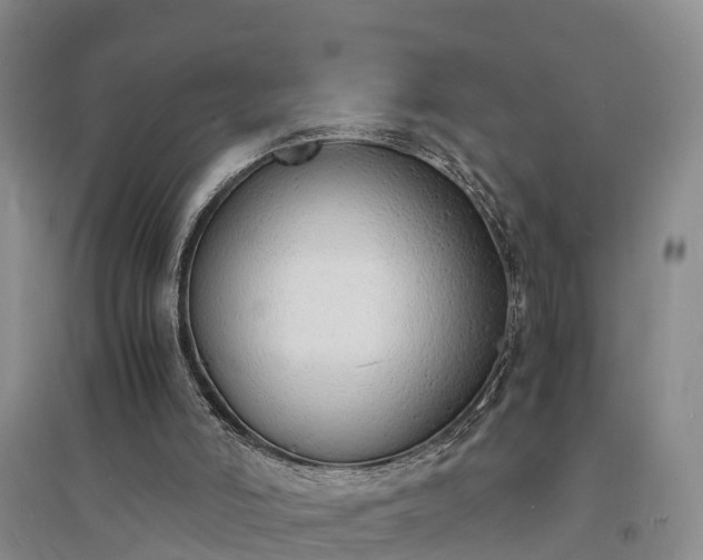 X0000094320006200711091352