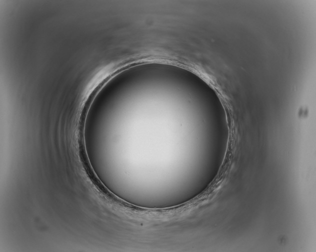 X0000094320007200711091352