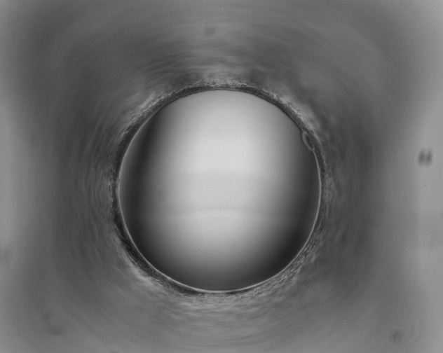 X0000094320009200711091352