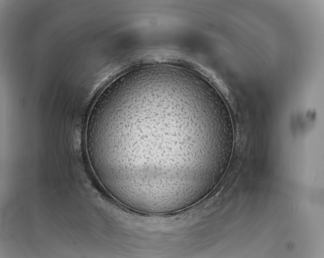 X0000094320010200711091352