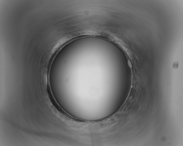 X0000094320011200711091352