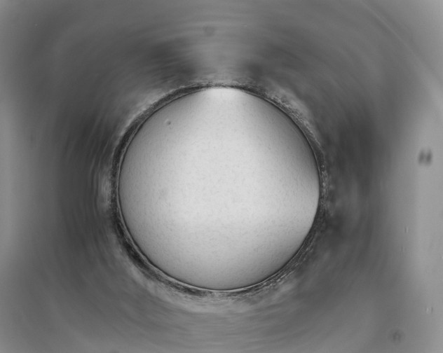 X0000094320012200711091352