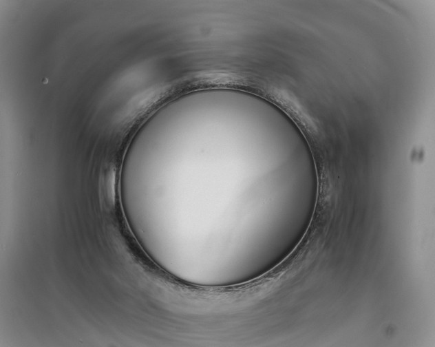 X0000094320014200711091352