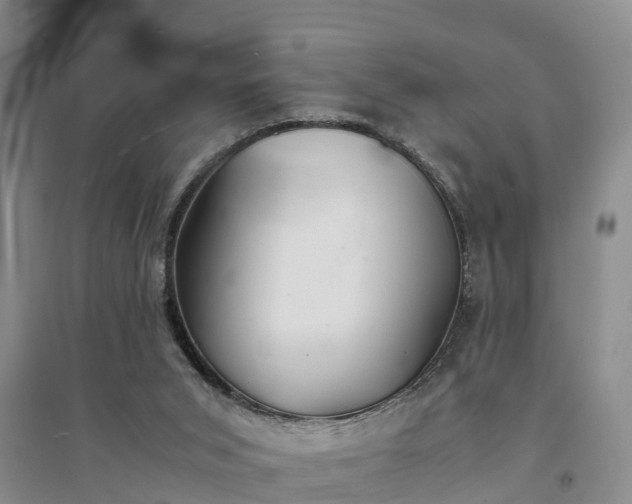 X0000094320015200711091352