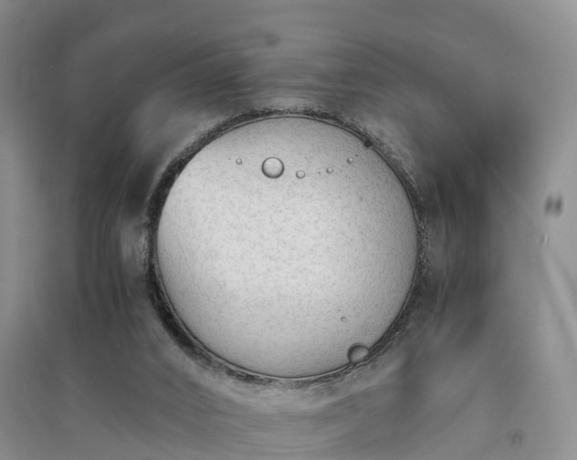 X0000094320016200711091352