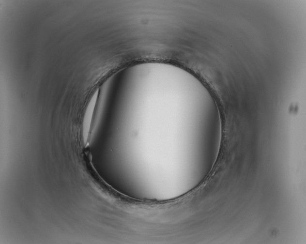 X0000094320017200711091352