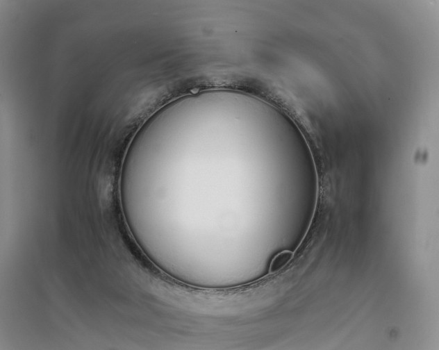 X0000094320018200711091352
