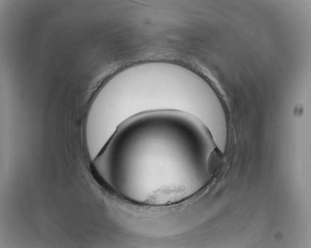 X0000094320019200711091352
