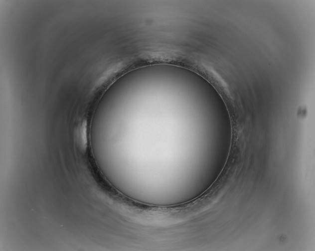 X0000094320020200711091352