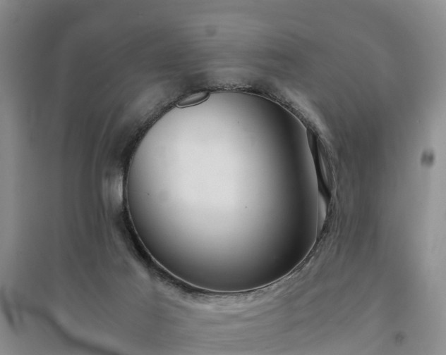 X0000094320021200711091352