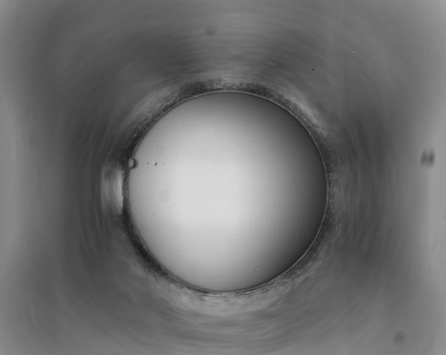X0000094320022200711091352
