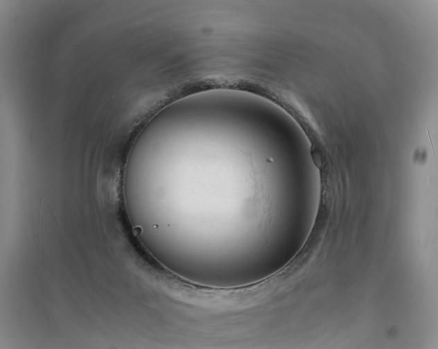 X0000094320023200711091352