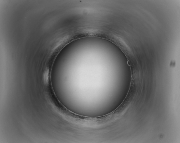 X0000094320024200711091352