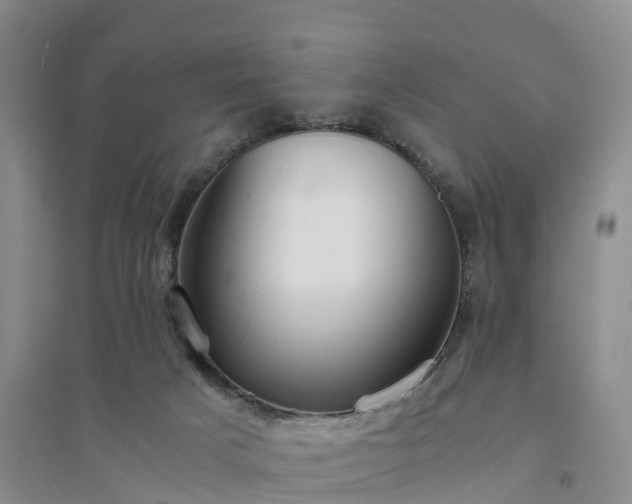 X0000094320025200711091352