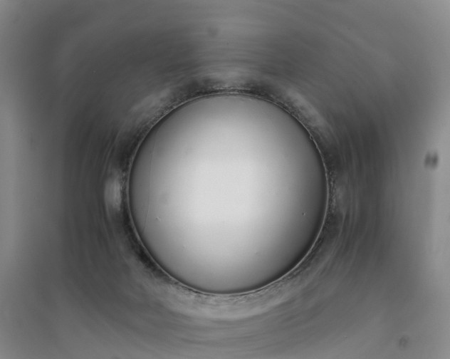 X0000094320026200711091352