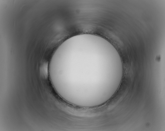 X0000094320028200711091352