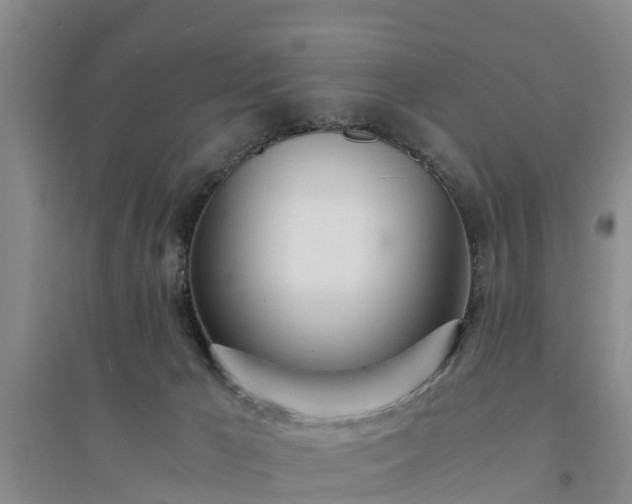 X0000094320029200711091352