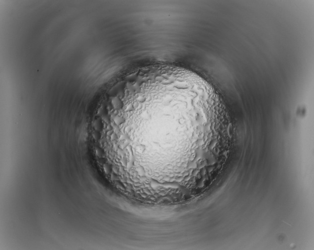X0000094320032200711091352