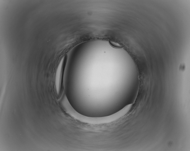 X0000094320033200711091352
