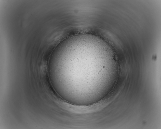 X0000094320034200711091352