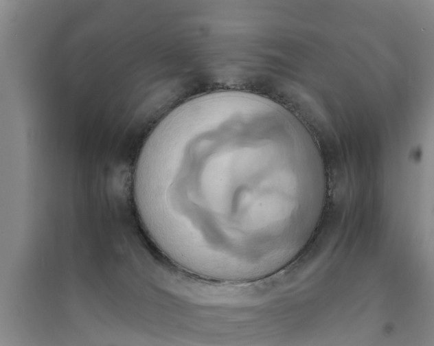X0000094320036200711091352