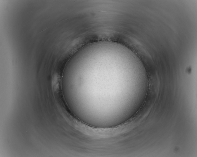 X0000094320038200711091352