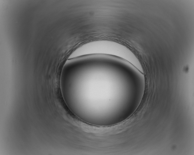 X0000094320039200711091352