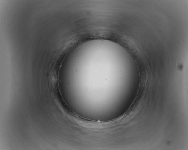 X0000094320040200711091352