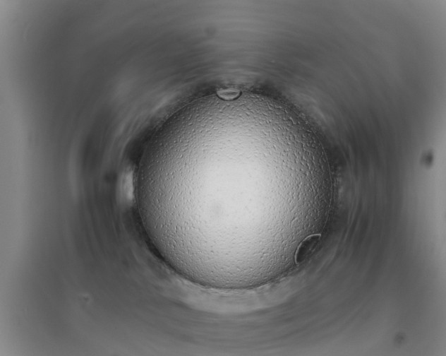 X0000094320042200711091352
