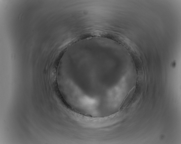 X0000094320043200711091352