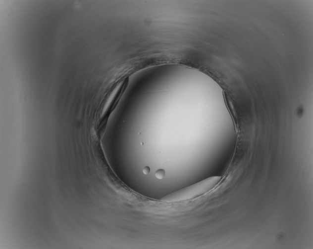 X0000094320045200711091352