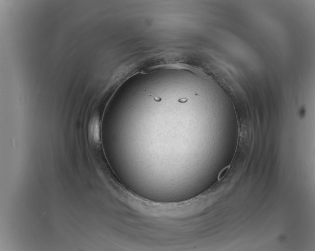 X0000094320046200711091352