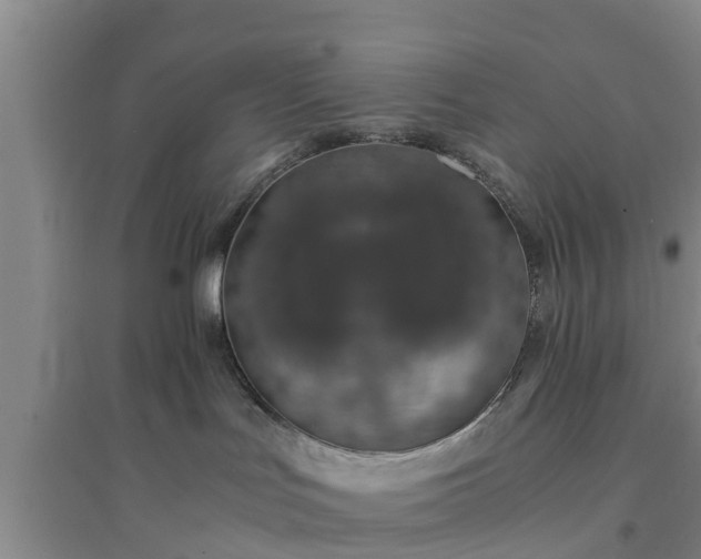X0000094320047200711091352