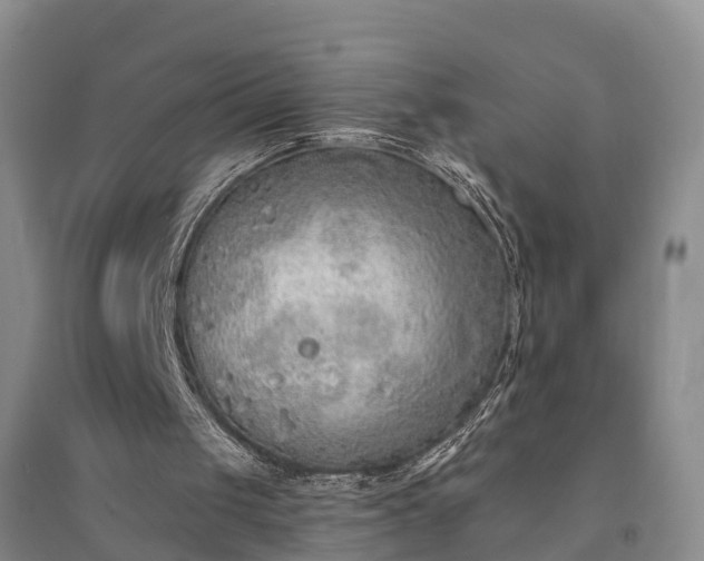 X0000094320049200711091351