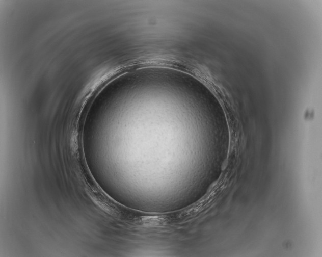 X0000094320050200711091351